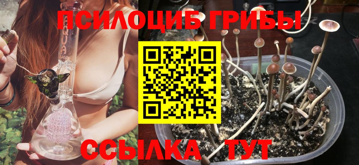 Псилоцибиновые грибы мицелий  Вход с VPN  Алейск 